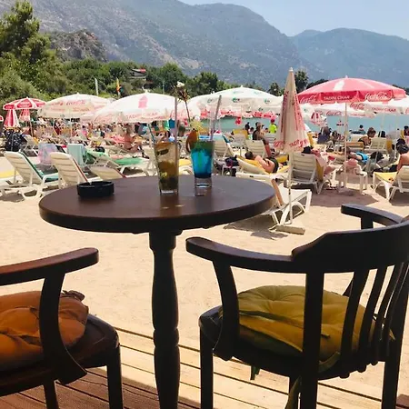 Greenpark Vılla